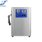 Generador de ozono de enfriamiento de aire ligero en venta 15 G