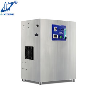 Máquina de Generador de Oxígeno PSA en Venta 5 L