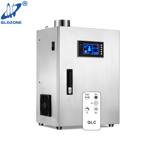 Generador de ozono de cocina comercial para eliminar grasa y olor 20 G